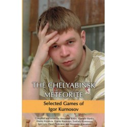 The Chelyabinsk Meteorite....