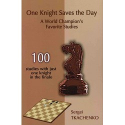 One Knight Saves the Day de Sergei Tkachenko