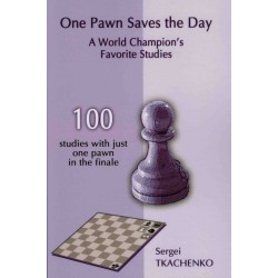 One Pawn Saves the Day de Sergei Tkachenko
