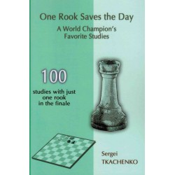 One Rook Saves the Day de Sergei Tkachenko