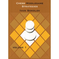 Chess Middlegame Strategies...
