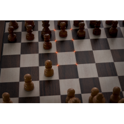 Millennium The King Performance - Jeu d'échecs électroniques pour Les  esthètes. avec Cadre véritable, pièces en Bois et 81 LED pour l'affichage  des Coups. avec Le Logiciel 2 joueurs : : Jeux
