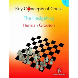 The Hedgehog de Herman Grooten