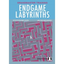 Endgame Labyrinths de Steffen Nielsen et Jacob Aagaard