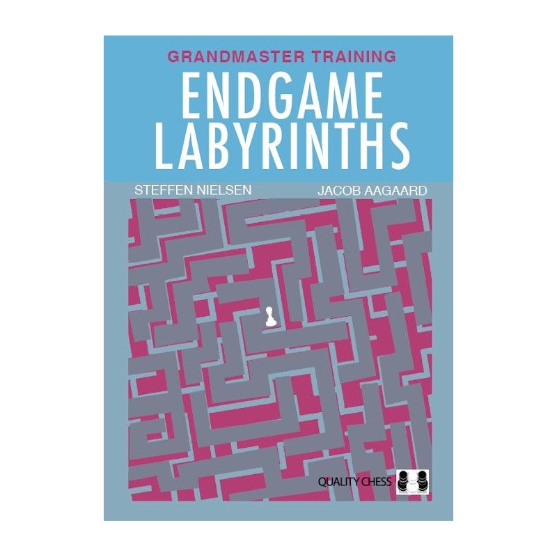 Endgame Labyrinths de Steffen Nielsen et Jacob Aagaard