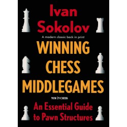 Winning Chess Middlegames...