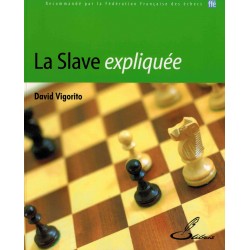 La slave expliquée de David Vigorito